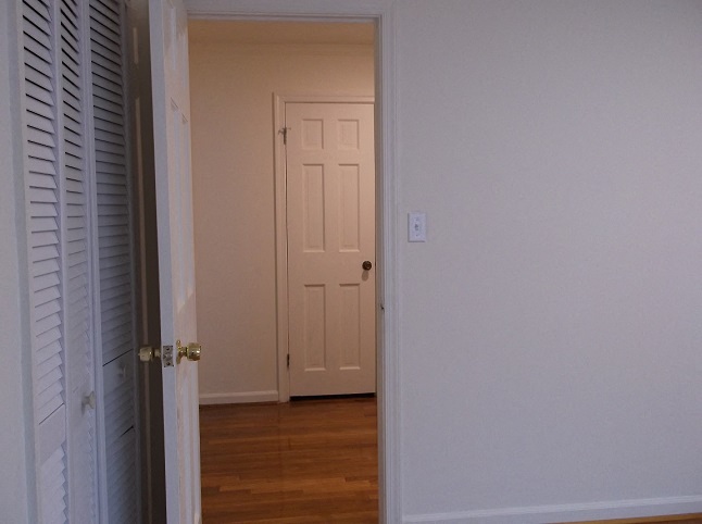 Gallery Photo 41